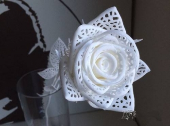  你如何看待3D打印藝術(shù)？他能否成為藝術(shù)的未來？